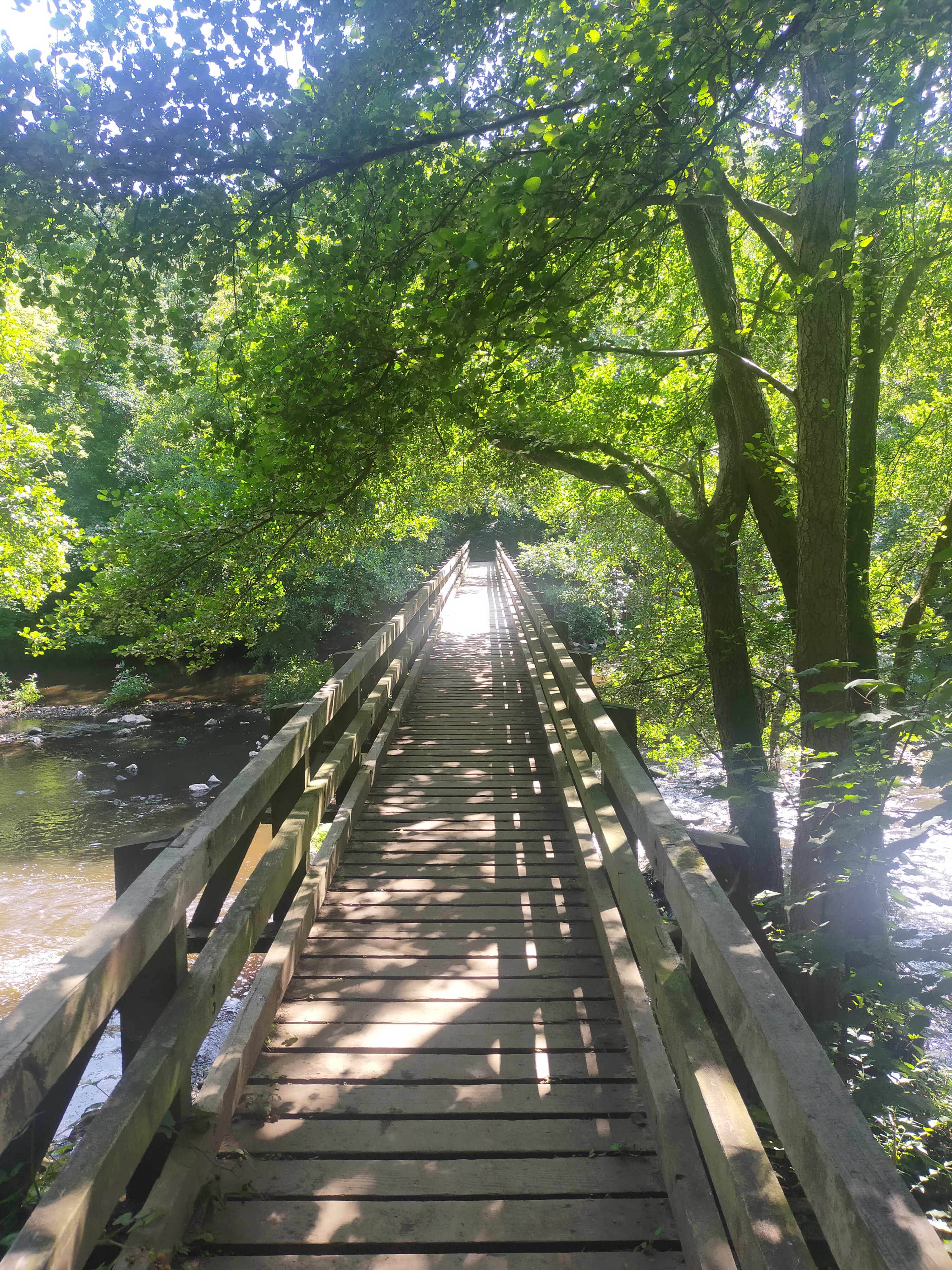 Seasonal Yoga through an LGBTQIA+ Lens
